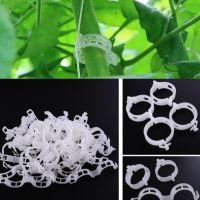 50PCS Household Plant Support Tools Garden Supplies Plant Clips Orchard Vine Fixed Clips