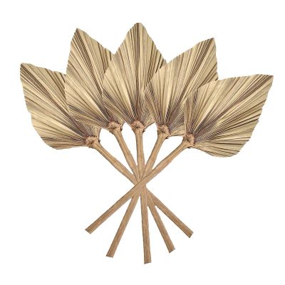 12 Pcs Natural Dried Palm Leaves Decor Boho Dried Leaf for Weddings Decoration Bedroom Kitchen Office 10X40Cm
