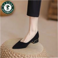 ↂ PLOVER Woodpecker High Heels Summer Matching Skirts Thick Heels Versatile Shoes Womens Soft Soled Professional Formal Work Shoes