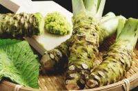 50 เมล็ดพันธุ์ วาซาบิ Wasabi seed มีคู่มือพร้อมปลูก อัตราการงอก 80-85%