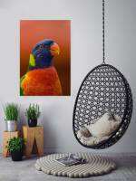 โปสเตอร์นกเขตร้อนศิลปะบนผนังมะพร้าว Lorikeet ภาพบ้านนกตกแต่ง1ชิ้นกรอบด้านในหรือไร้กรอบ