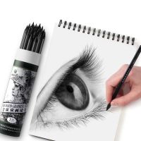 Maries Soft Charcoal Sketching Pencil Painting Student Professional Manga Black Sketc Pen Non-Toxic Pencils Art Supplies