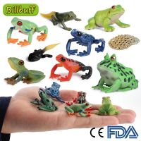 2021 Reptiles Static Frog Animals Wolf Howling Figures Educational Collection for children