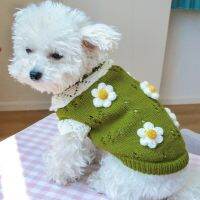 Pet Cute Sweater 3D Classic Flowers Blossoming 2-Legged Knit Clothes For Cold Weather Small Medium Dog Cat New Arrival Clothing Shoes Accessories Cost