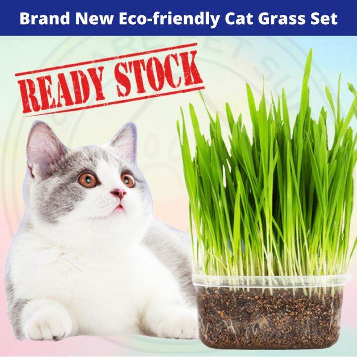 Cat Grass Seed Hairball Solution 100g Set Biji Benih Rumput Snek
