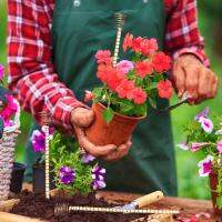 สวน Sticks Electro Culture ขดลวดเสาอากาศทองแดงพร้อม Sticks Plant Stakes และรองรับการปลูกพืชสวน Tomato Peony