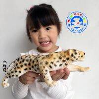 Munich Play - โมเดลสัตว์ Leopard Cheetah เสือดาว เสือชีตาห์ ขนาด 31.00 CM (จากหาดใหญ๋)