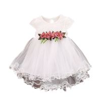 Cute Baby Girls Summer Floral Dress Princess Party Tulle Flower Dresses Toddler Infant Girls Mesh Tutu Dress 0-3Y Clothing Dresses