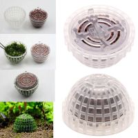 hot【cw】 Plastic Aquarium Decoration Media Moss Filter for Aquatic Pets Balls Ornaments