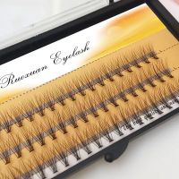 1box big capacity 60 bundles 6d 10D Eyelash Extensions 0.1mm Thickness true Mink Strip Eyelashes Individual Lashes Natural Style