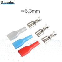 Shanhe 6.3mm Crimp Terminal 50 ตัวเมีย Spade Connector พร้อม 50 เคส-DAFGH STORE