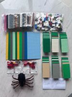 LEGO BUNDLE&amp;gt; Rare &amp; Sealed 2x Lego House Billund bricks + Lord of the Rings Shelob Spider from set 9470 + 10 baseplates 16x32 + 39 baseplates 8x16 + ~1kg plates 2x16 + ~1kg bricks 2x2x2 and 2x2x6