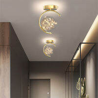 Modern Aisle LED Ceiling Light Creative Gypsophila Gold Black for Hallway Balcony Bar Bedroom Porch Home Deco Indoor Lighting