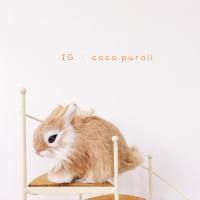 Coco Puroii - โมเดลกระต่ายก้มหน้า ขนแท้ (พร้อมส่ง)