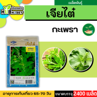 เจียไต๋ ?? กะเพรา ขนาดบรรจุประมาณ 2400 เมล็ด อายุเก็บเกี่ยว 65-70 วัน