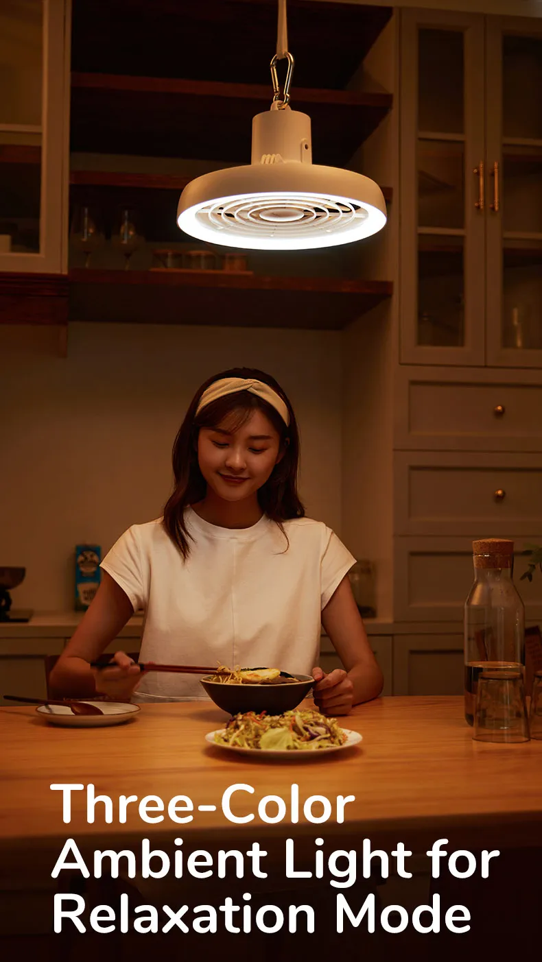 Gadgetoo Jisulife Fa17 Outdoor Led Ceiling Fan With Long Tripod Stand