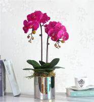 Phalaenopsis ห้องนั่งเล่นในบ้านดอกไม้เทียมใช้ตกแต่งโต๊ะทานอาหารพิธี PARTY Orchid ชุด + แจกัน