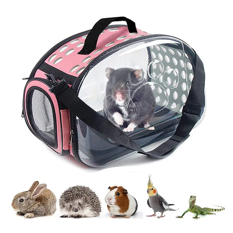 Details more than 172 guinea pig carrier bag latest esthdonghoadian