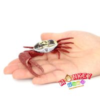 Monkey Toys - โมเดลสัตว์ Crab ปูก้ามดาบ แดง ขนาด 9.00 CM (จากหาดใหญ่)