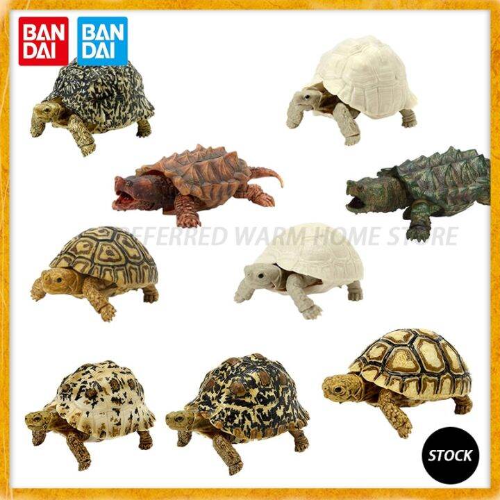 In Stock Bandai Japanese Gashapon Egg Big Biological Map Of Tortoise ...