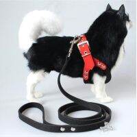 【CW】 New Dog Harness Soft Leather Harness  Leash Glass Pattern Attaching Different Breeds S M L