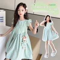 Girls Dresses Summer Fashion Plaid Dress Cartoon Dolls Big Kids Princess Dress 3-12Y