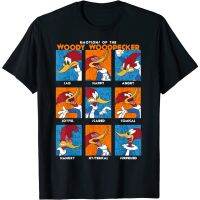 Adult Clothes woody Woodpecker Emotions Vintage Panel Poster T-Shirt Fashion Clothing Tops Men Women Latest Models Today Short S