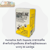 Carneline Soft Capsule อาหารเสริมสำหรับบำรุงเส้นขน และสุขภาพผิวหนังสำหรับสุนัขและแมว ขนมันสวย ผิวไม่แห้ง บรรจุ 20 แคปซูล