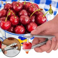 Free Shipping Kit Handheld Machine Tool Kitchen Olive Fruit Remover Pitter Seed Fruit Kitchen，dining &amp; Bar Kids Vegetable Peeler Graters  Peelers Slic