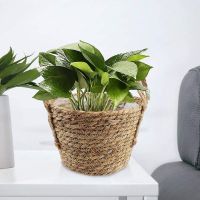 Handmade Storage Basket Folding Clthoes Laundry Basket Straw Wicker Rattan Seagrass Belly Garden Flower Plant Pot with Handle