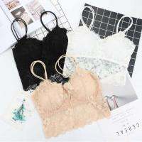 Angle Bra (N071) บราลูกไม้ 2 สาย งานสวยมากนะคะ มี 5 สีจร้า