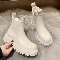 Autumn Winter Chelsea Boots Women Platform Brown Black Beige White Ankle Boots for Women Fur Short Chunky Punk Gothic Shoes