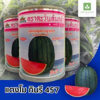 ถูก++ กินรี 457 เมล็ดพันธุ์แตงโม แตงโมกินรี ตะวันต้นกล้า ของดี ต้นไม้ เมล็ดพันธ์ เมล็ดพืช พรรณพืช แตงโม