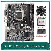 B75 ETH Mining Motherboard with G620 CPU+MSATA SSD 128G+Cooling Fan 12 PCIE to USB MSATA DDR3 B75 USB BTC Motherboard