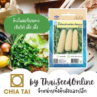 CTOP เมล็ดพันธุ์ ข้าวโพดเทียนขาว ตราเจียไต๋ Corn ข้าวโพดสรอย Small Waxy Corn