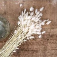 Dried Flowers White Pampas Grass Black Rabbit Tail Grass Artificial Fleur Bouquet Boho Nordic Style Home Decor Party Decoration