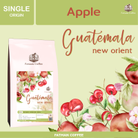 เมล็ดกาแฟ Guatemala New Orient