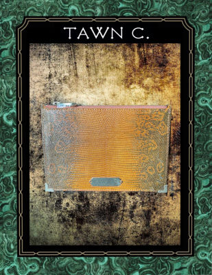 TAWN C. Exotic Skin Accessory &amp; Stationary Collection - Lizard Skin, Large Envelop Pouch in Nude Brown