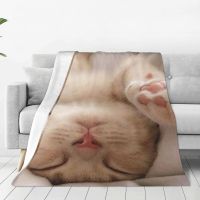 Cute Sleeping Cat Fashion Flannel Blanket 3D-printed Pet Children Kids Awesome Throw Blanket for Home 125*100cm