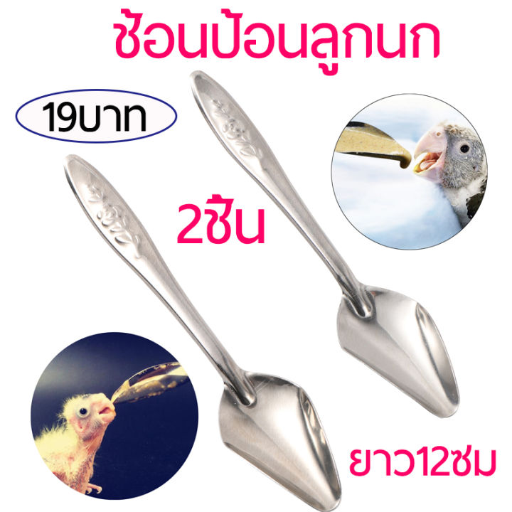 ราคาถูกที่สุด-พร้อมส่ง-2-ชิ้น-ช้อนป้อนอาหารนก-ช้อนสแตนเลส-ช้อนป้อน-ช้อนป้อนลูกนก-ยาว12ซม