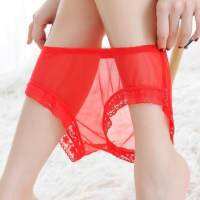 pants Femal Underwear Lace Mesh Dry Quick Breathable Thin Brief Traceless Summer Lady Sexy White Black Panties Transparent Full