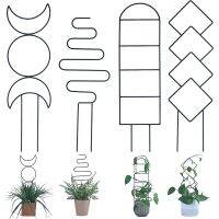 【hot】∋㍿  1 pc Indoor Trellis Trellis for Climbing Indoor Phase Metal  Outdoor Potted   Garden Vines