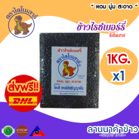 ข้าวตราไดโนเสาร์ ข้าวไรซ์เบอร์รี่  น้ำหนัก 1 กก.