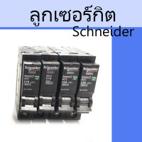 Schneider ลูกเซอร์กิต STC 1P 10A, 16A, 20A, 32A USA สีดำ X1