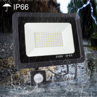 Super Bright Led Flood Light Outdoor With Motion Sensor 10W 20W 30W 50W PIR Led Spotlight Outdoor IP66 Garden Projector Light