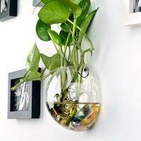 Ball Flower Pot Wall Hanging Planter Glass Hydroponic Vase Plant Wall Mounted Fish Tank Transparent Durable Sturdy Glass Bottles