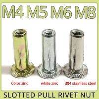 M4 M5 M6 M8 304 Stainless Steel Petal Rivets Cap Slotted Pull Rivet Nut Color Zinc Plating Folding Screw Fixed Car License Plate Nails  Screws Fastene