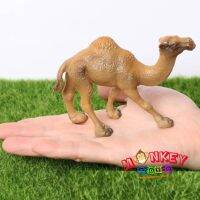 Monkey Toys - โมเดลสัตว์ Camel อูฐ หนอกเดียว ขนาด 11.50 CM (จากหาดใหญ่)