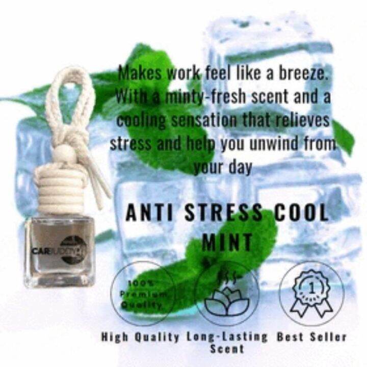 CAR BUDDY Natural Scent Lazada PH