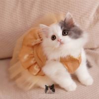 Hot Selling Bling Bling Cat Wedding Dress Dog Cat Tutu Dress Party Pet dress clothes for small Cat Pet Dresses